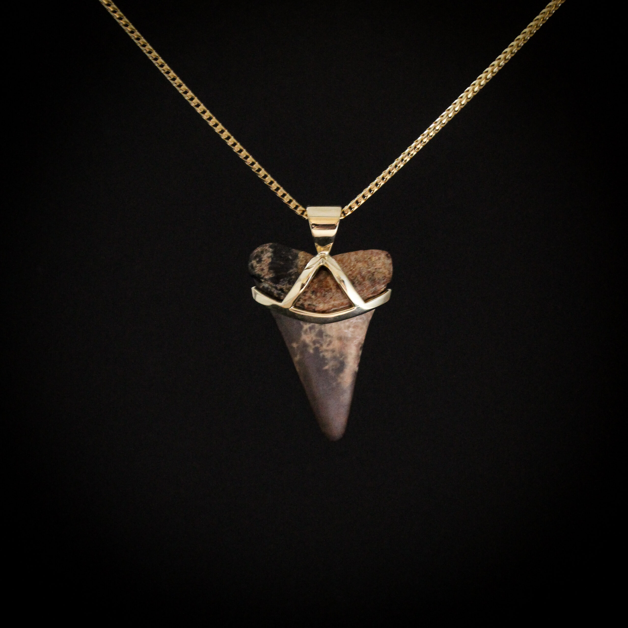 Great white shark tooth pendant set in a custom 9k yellow gold mount on a gold chain
